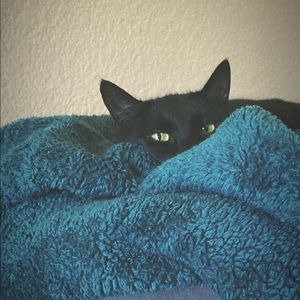 Meet your Posher, Kaitlyn